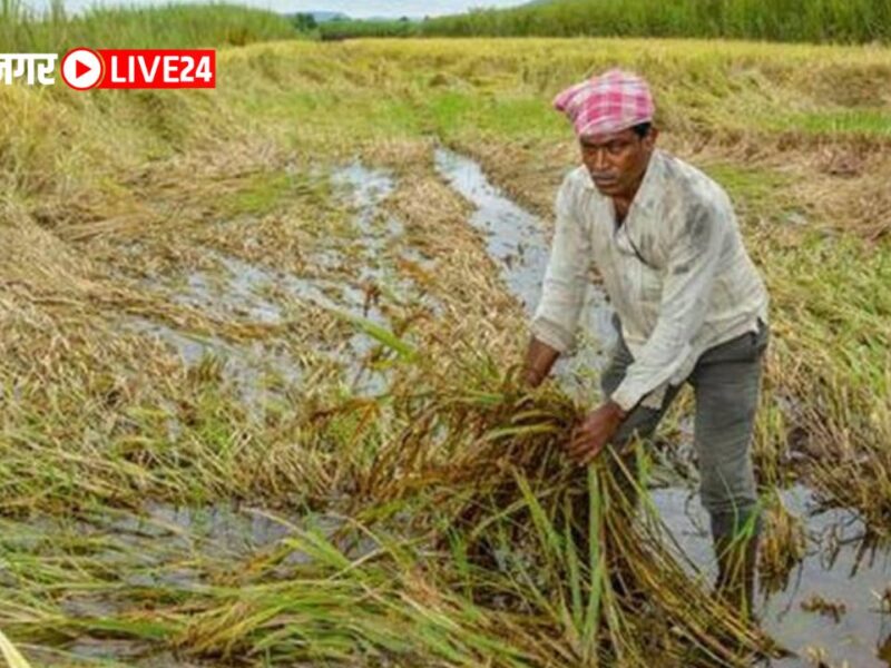 Sambhajinagar News : शेतकऱ्यांना तत्काळ नुकसान भरपाई द्या !