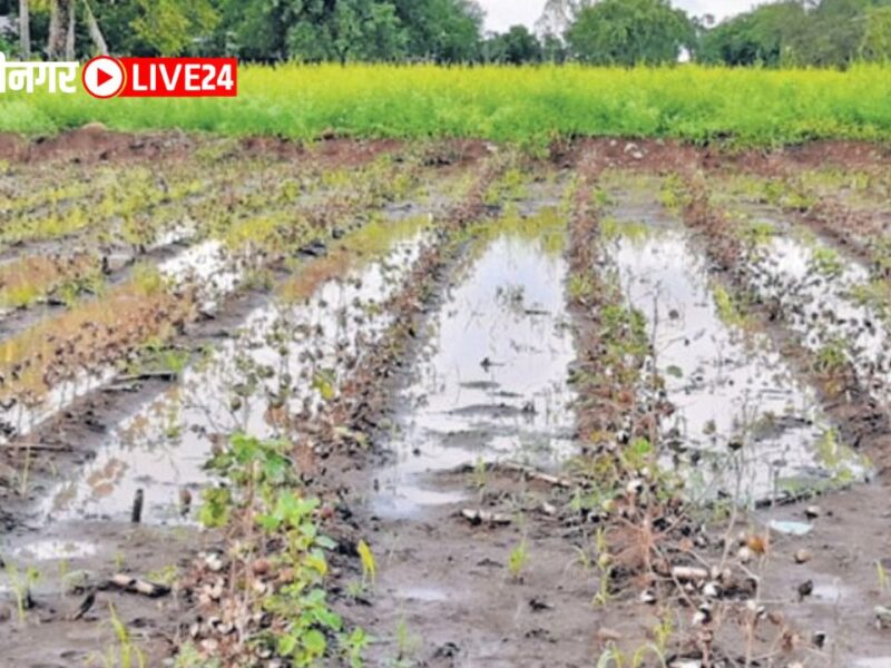 Sambhajinagar News : अतिवृष्टीबाधित पिकांचे पंचनामे करा, शेतकऱ्यांना नुकसानभरपाई द्या